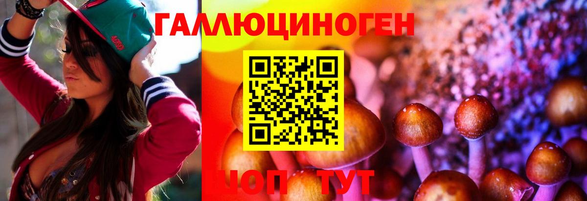 Галлюциногенные грибы Cubensis  Вход с VPN  Псилоцибиновые грибы Cubensis  где найти   Сердобск 